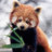 Agent_Ryu