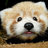 redpanda21