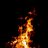 wildfire555