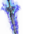 The Kronkelder