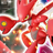 Chronozoah