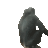 Xungo