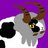 dubwool_entusiast