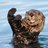 otteru