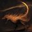 Osteoderm