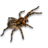 yoenoid