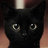 Kittenmon6824
