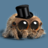 Mr_Web