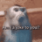 chat chatting joke