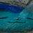 Ultramanjay