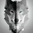 DarkWolf1385
