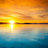 alexrom_0124
