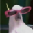 Luizfernando54243