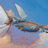 Skyhops