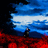sonoclover