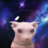 RyinThyme