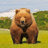 HexagonBear