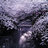 GrayGhost