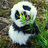 Pandamoms