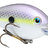 Crankbait#1