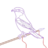 adjective_noun