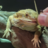 CGALC