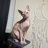 Kenny the Cat