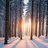 snowcrash