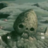 KingGojira