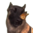 bananacapymonke1