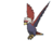 MiamiLover