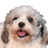 capychara