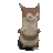 erika1111