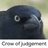 acatmeme
