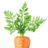 Carrot Top
