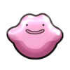 Ditto.png