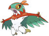 hawlucha.jpg