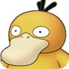 psyduck.png