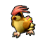 PidgeotAnimated.png