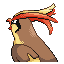 PidgeotBack copy.png