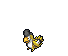Squawkabilly-Yellow.png