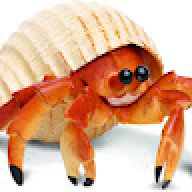 Hermitcrab