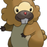 bidoof rocks