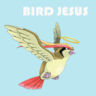 Bird Jesus