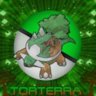 Torterra77