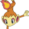 Chimchar