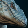 Mosasaurus Hasselhoff