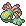 :cradily: