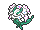 :Florges-White: