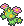 :Maractus: